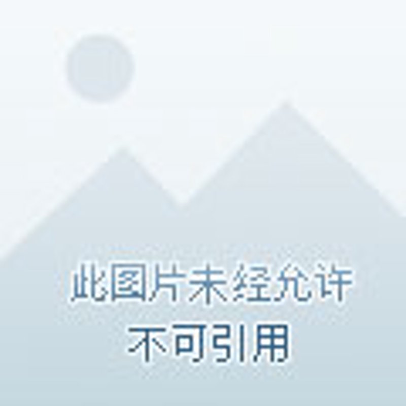 信息技术基础知识,让每个人都能成为数字时代的行家